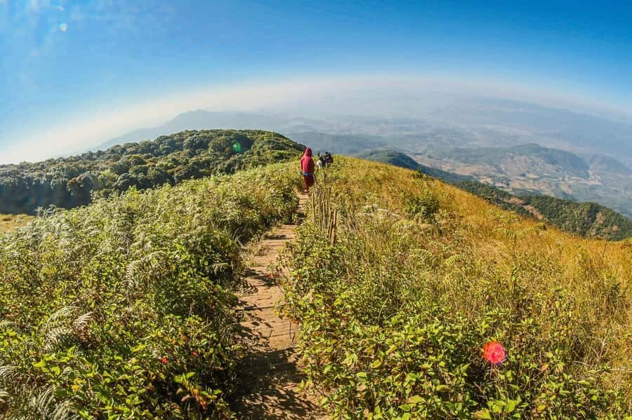 Chiang Mai: Kew Mae Pan Nature Trail & Doi Inthanon Day Trip - The Experience: Pros and Cons