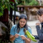 Chiang Mai: Mae Kampong Jungle Hike and Cooking Class - What Makes This Tour Stand Out?