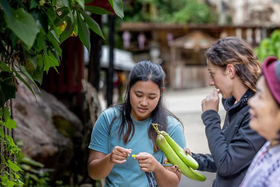 Chiang Mai: Mae Kampong Jungle Hike and Cooking Class - What Makes This Tour Stand Out?