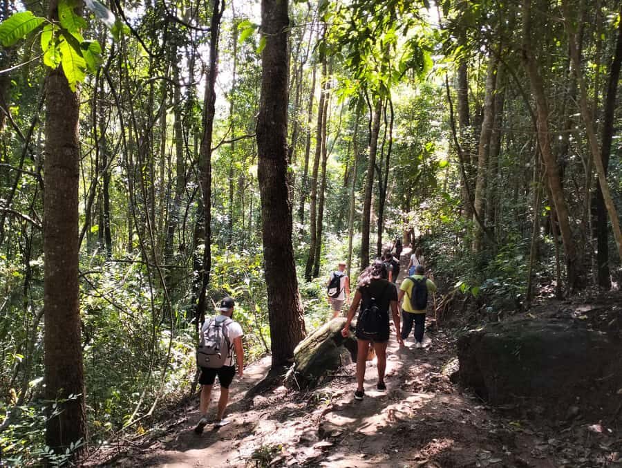 Chiang Mai: Mae Ya Waterfall & Pha Dok Siew Trail Trek - Practical Details and Tips