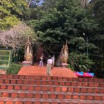 Chiang Mai Monk's Trail Wat Pha Lat & Visit Wat Doi Suthep - Why You’ll Love This Tour