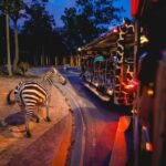 Chiang Mai Night Safari: Flexible Pickup, Ticket & Transfers - Final Thoughts