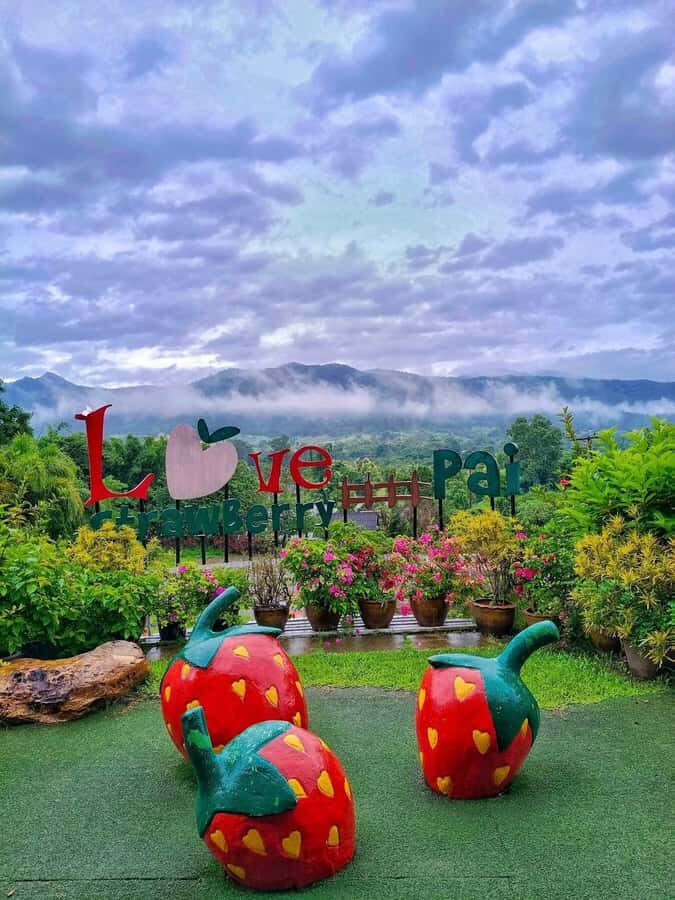 Chiang Mai: Pai Famous Attractions Day Trip with Guide - Who’s This Tour Best Suited For?