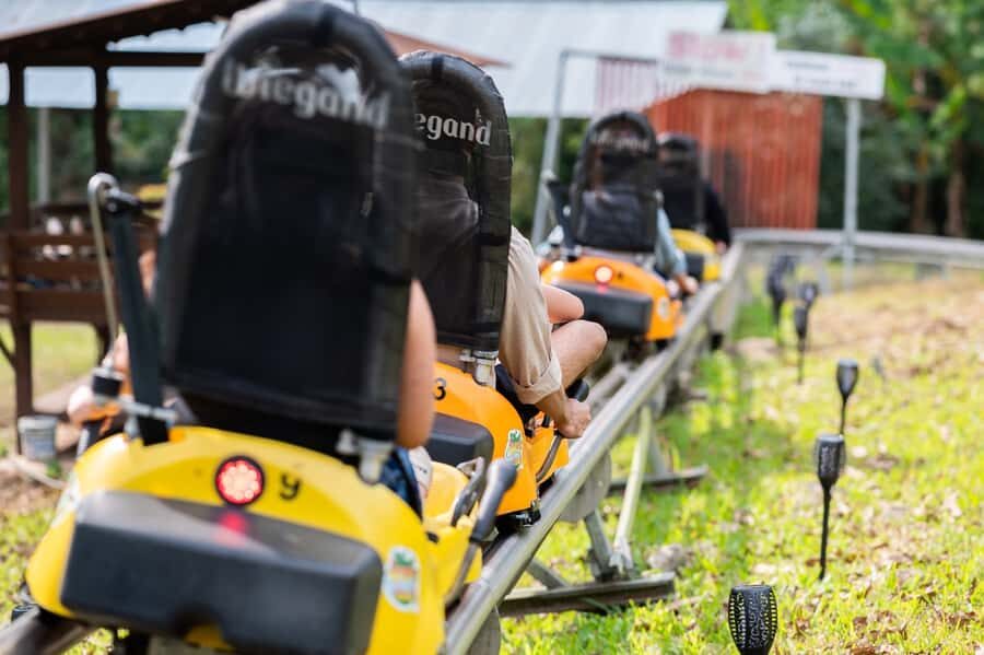 Chiang Mai: Pongyang Jungle Coaster and Zip Line Tour - What to Expect on the Tour