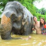 Chiang Mai: Private Elephant Care Experience for Couples - The Practicalities of the Tour