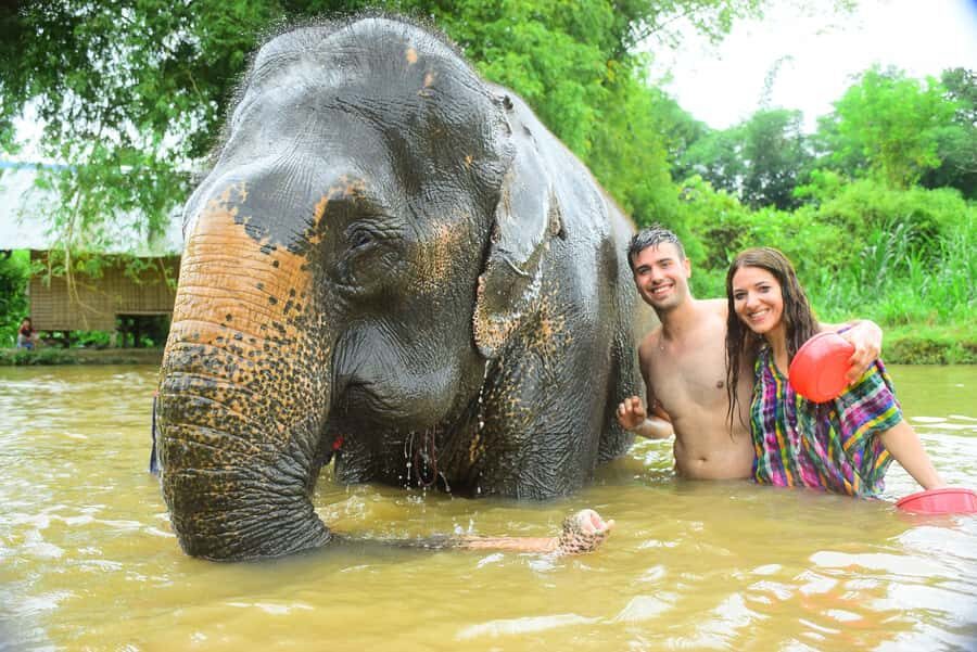 Chiang Mai: Private Elephant Care Experience for Couples - The Practicalities of the Tour