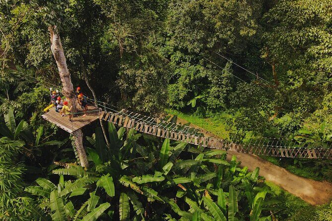 Chiang Mai Sky Hawk Zipline Adventure in the Jungle Canopy - Practical Details: Transportation, Duration, and Group Size