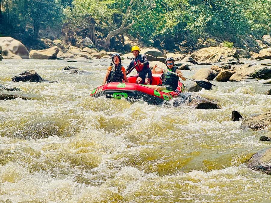 Chiang Mai: Sticky Waterfall and Rafting Day Trip - What Makes This Tour Stand Out