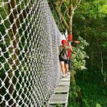 Chiang Mai: Sticky Waterfall and Zipline Adventure Day Trip - What Makes This Tour Stand Out