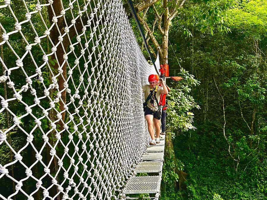Chiang Mai: Sticky Waterfall and Zipline Adventure Day Trip - What Makes This Tour Stand Out