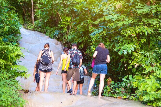 Chiang Mai: Sticky Waterfall by Local Truck with Market Stop - What the Tour Includes and What to Consider