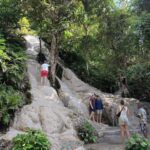 Chiang Mai : Sticky Waterfall, Cave, Forest Walk Tour - What Travelers Say
