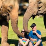 Chiang Mai Tour: Bua Tong Sticky Waterfall & Elephant Care - What Makes This Tour Stand Out?