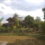 Chiang Mai: Wild Gibbon Encounters with Karen Homestay - What to Expect and Practical Tips