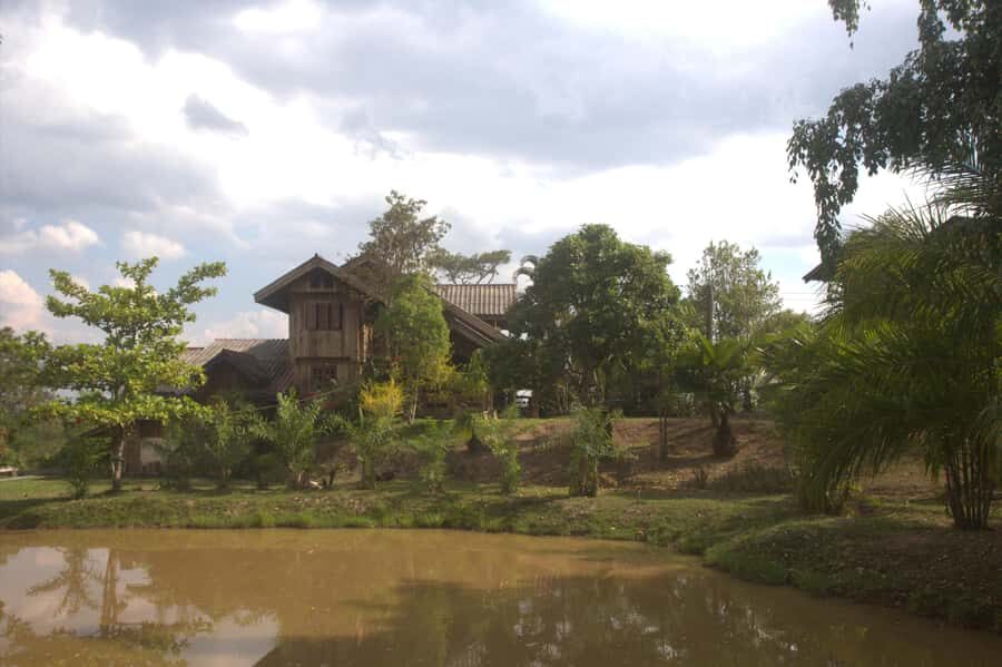 Chiang Mai: Wild Gibbon Encounters with Karen Homestay - What to Expect and Practical Tips