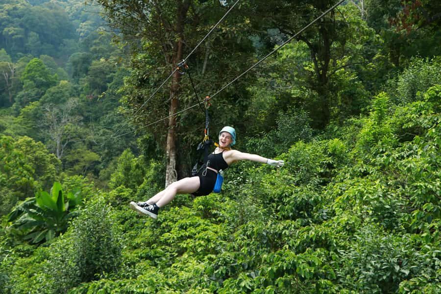 Chiang Mai: Zipline Adventure with Buffet Lunch and - What to Expect from Your Chiang Mai Zipline Tour