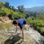 Chiang Mai:Farm-to-Table Cooking Class & Buatong Waterfall - An In-Depth Look at the Chiang Mai Farm-to-Table Experience