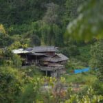 Chiang Mai:Trekking Eco-Trails Mae Win,Elephant Feeding&Raft - What Makes This Tour Stand Out?