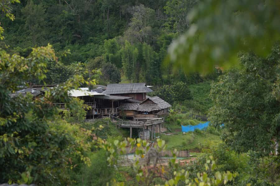 Chiang Mai:Trekking Eco-Trails Mae Win,Elephant Feeding&Raft - What Makes This Tour Stand Out?