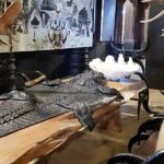 Chiang Rai City Temples Private Day Tour - What’s Included and What’s Not?