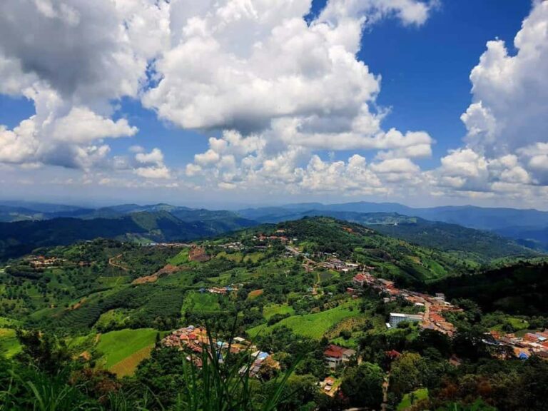 Chiang Rai: Doi Mae Salong & Doi Tung Guided Day Trip - Practical Details and Tips