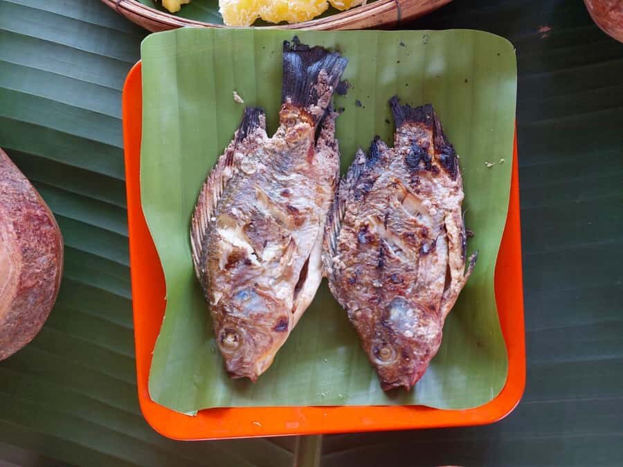 Chiang Rai: Heart to Heart Elephant Sanctuary Half Day Visit - What to Expect on the Tour