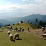 Chiang Rai to Chiang Mai: Private Scenic Transfer Tour - Detail by Detail: The Itinerary Breakdown