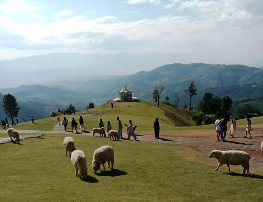 Chiang Rai to Chiang Mai: Private Scenic Transfer Tour - Detail by Detail: The Itinerary Breakdown