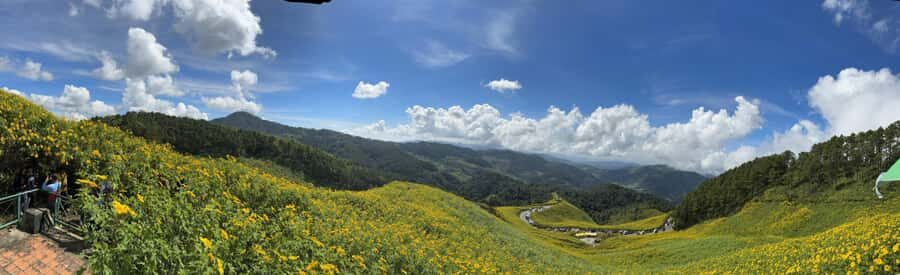 Chiangmai : Experience the magic of Mexican Sunflower field - Practical Aspects and Value
