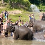 Chiangmai Overnight Trip with Ethical Elephant Santuary - The Itinerary Breakdown: What to Expect
