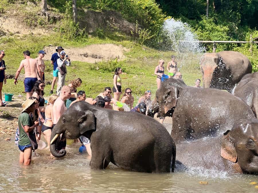 Chiangmai Overnight Trip with Ethical Elephant Santuary - The Itinerary Breakdown: What to Expect
