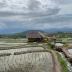 Chiangmai Overnight with Doi Inthanon National Park tour - Transport, Timing, and Practical Details