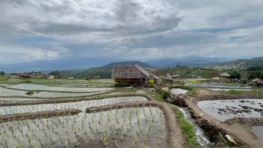 Chiangmai Overnight with Doi Inthanon National Park tour - Transport, Timing, and Practical Details