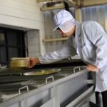 Chiba: Nabedana Sake Brewery Tour with Tasting - What to Expect from the Nabedana Brewery Tour in Chiba