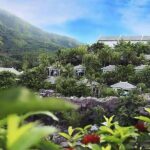 Chilling Day Tour with Than Tai Hot Spring Park from Da Nang - Transportation and Group Size