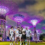 Chinatown Food Tour, River Cruise & 2 top-visit Light Shows - Practical Considerations and Value