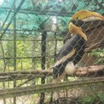 Chisor mountain,Ta Moa Zoo ,Ta Prom temple Tour - Who Should Consider This Tour?