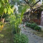 Chitwan Jungle Safari 2 Nights 3 Days with jeep safari & Meals - Transportation & Additional Costs