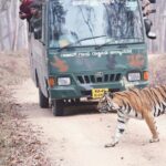 Chitwan jungle safari with canoe river ride - Day 2: Into the Wild & Canoe Adventure