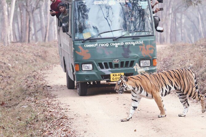 Chitwan jungle safari with canoe river ride - Day 2: Into the Wild & Canoe Adventure
