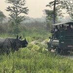 Chitwan National Park-2 night 3 days jungle safari - Practical Insights for Travelers