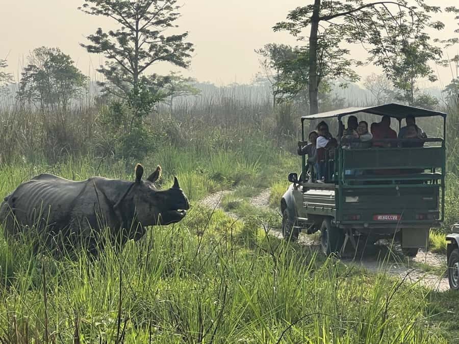 Chitwan National Park-2 night 3 days jungle safari - Practical Insights for Travelers