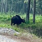 Chitwan National Park Unique Activities From Untouched Side Madi - Exploring the Itinerary in Depth