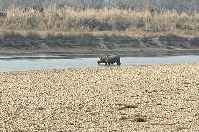 Chitwna Jungle Safari 2N3Days Full Package - How the Tour Stacks Up