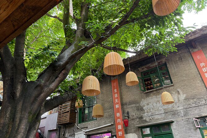 CHONGQING City Guided Hiking Day Tour: Lens, Bites & Hidden Steps - Real Insights from Past Participants