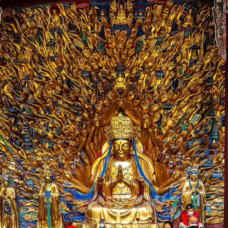 Chongqing: Dazu Rock Carvings and Cinema Day Tour - Who Should Consider This Tour?