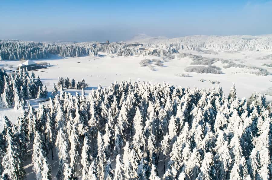 Chongqing: Fairy Mountain Forest Park Ticket - What to Expect on Your Day Trip