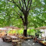 Chongqing History Walk: Temples, Old Streets & Ancient Road - Practical Details & What to Expect