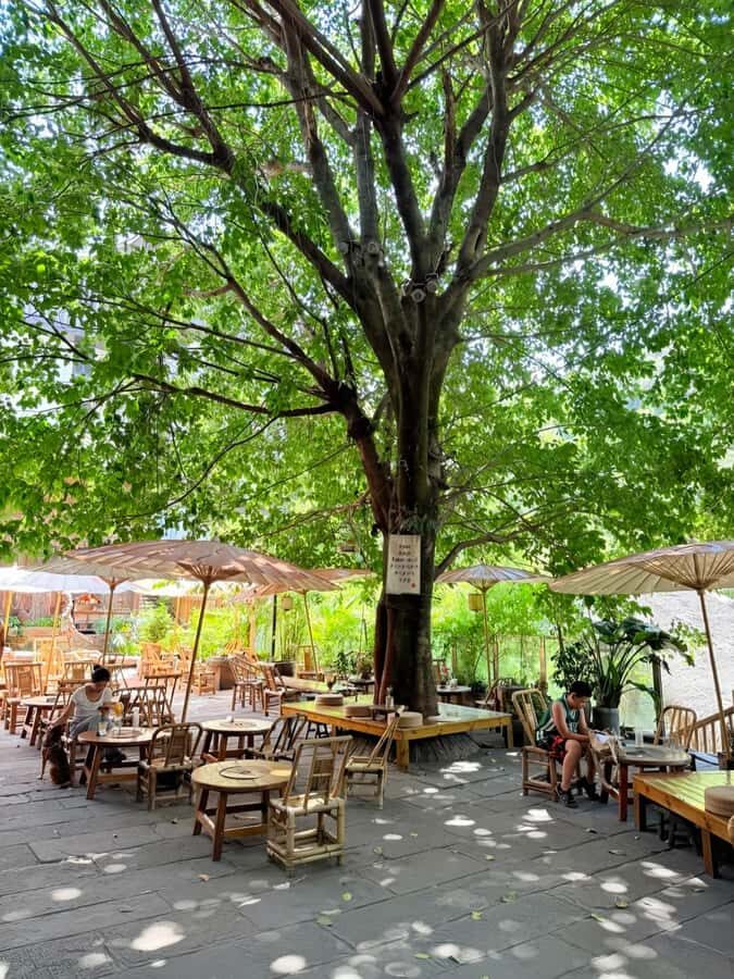 Chongqing History Walk: Temples, Old Streets & Ancient Road - Practical Details & What to Expect