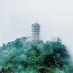 Chongqing: Jinyun Mountain, Museum & Old Street Tour - Natural History Museum — Dinosaurs and Discoveries